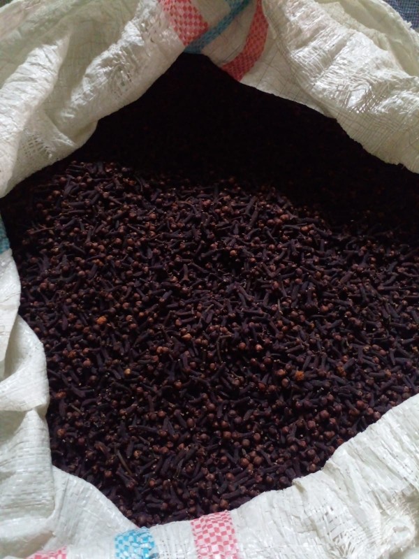 Indonesische Nelken from Indonesien
